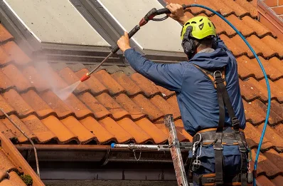 Démoussage et hydrofuge de toiture à Viennay